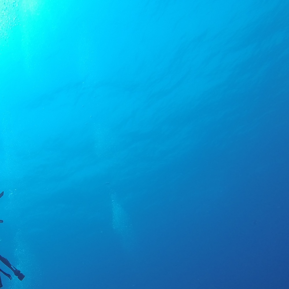 Meet your Posher, Will